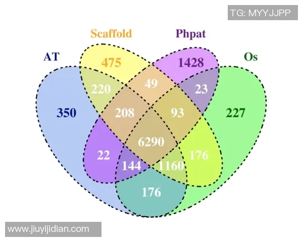 韦恩对汉堡比赛结果预测分析及双方近期状态评估